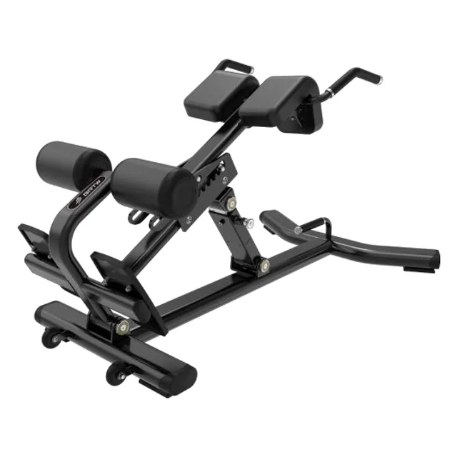 BH45 バックエクステンション